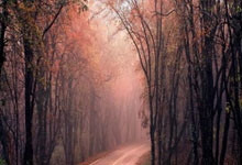 皇马四大巨星齐发力！姆巴佩29分钟双响攻入生涯第500球这篇关于姆巴佩在伯纳乌球场梅开二度的文章，让我回想起小时候在电视机前看世界杯的场景，那种激动和紧张，现在想起来还历历在目。哎，要是能去现场看这场比赛就好了……唉，梦想还是要有的，万一实现了呢？姆巴佩现在才26….