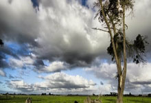 明陞体育：[棋牌]“LG杯决赛事件”严重影响棋手比赛状态.