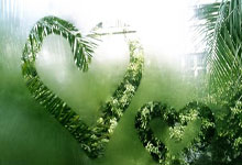 明陞体育：[球之夜]中国男：一次成功的团建.