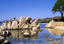 明陞体育：英超｜阿仙奴3：1作客反勝賓福特　17歲小將代替沙卡表現獲大讚.